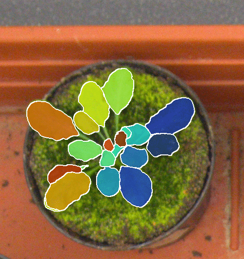 Figure 12