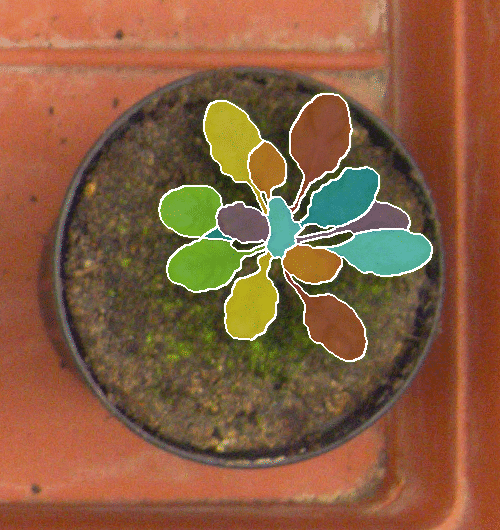 Figure 15
