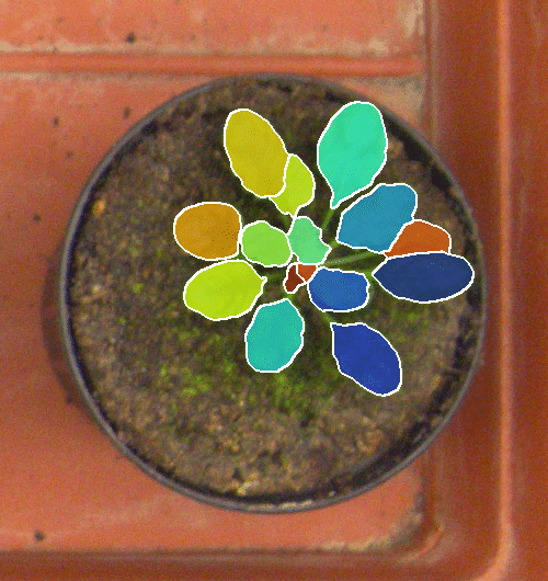 Figure 16