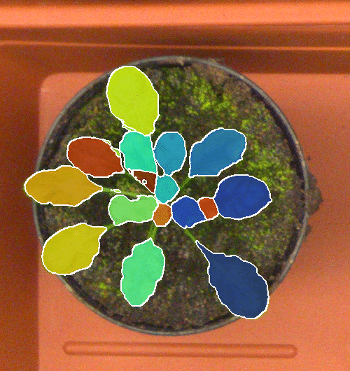 Figure 28