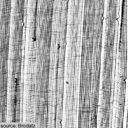 Figure 20