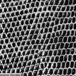Figure 23