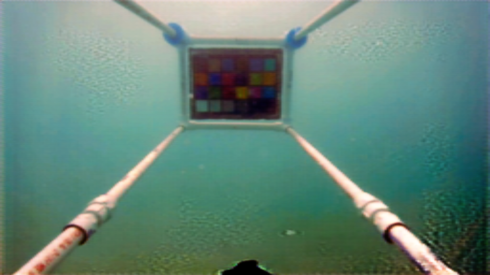 Figure 31