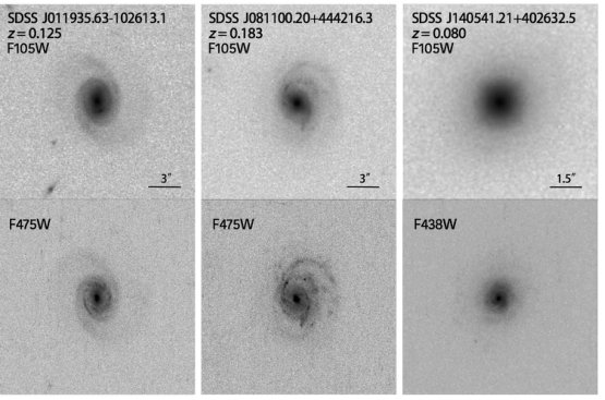 Figure 24