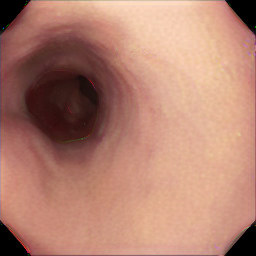Figure 7