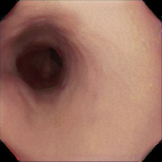 Figure 8