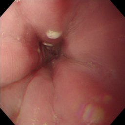 Figure 20