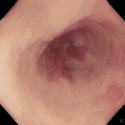 Figure 27