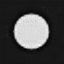 Figure 31