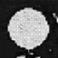 Figure 32
