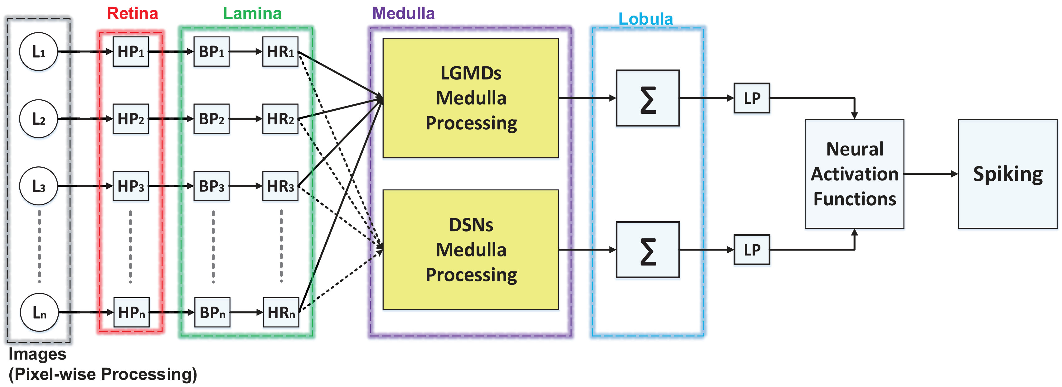 Figure 13