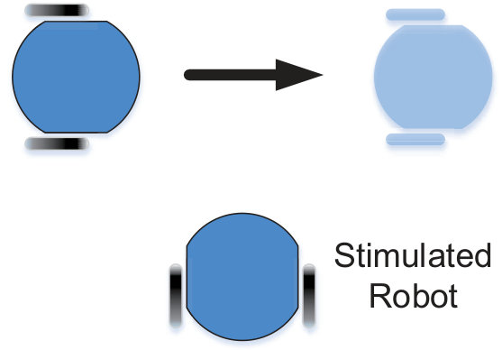 Figure 32