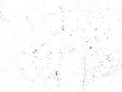 Figure 38