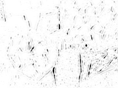 Figure 40