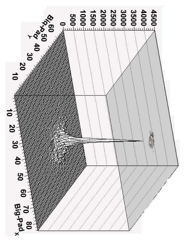 Figure 23
