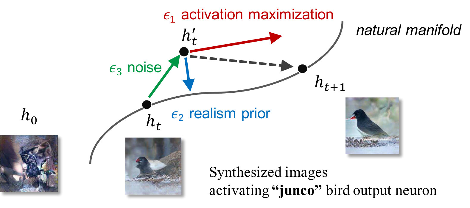 Figure 13