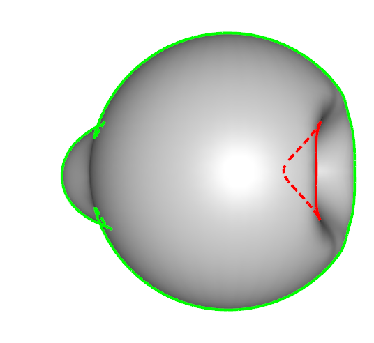 Figure 29
