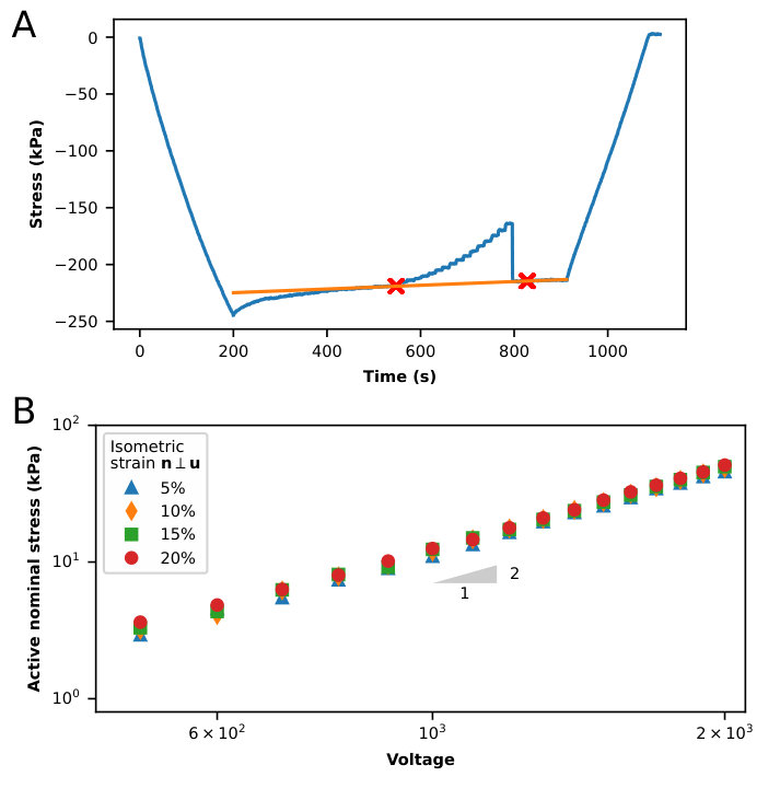 Figure 12
