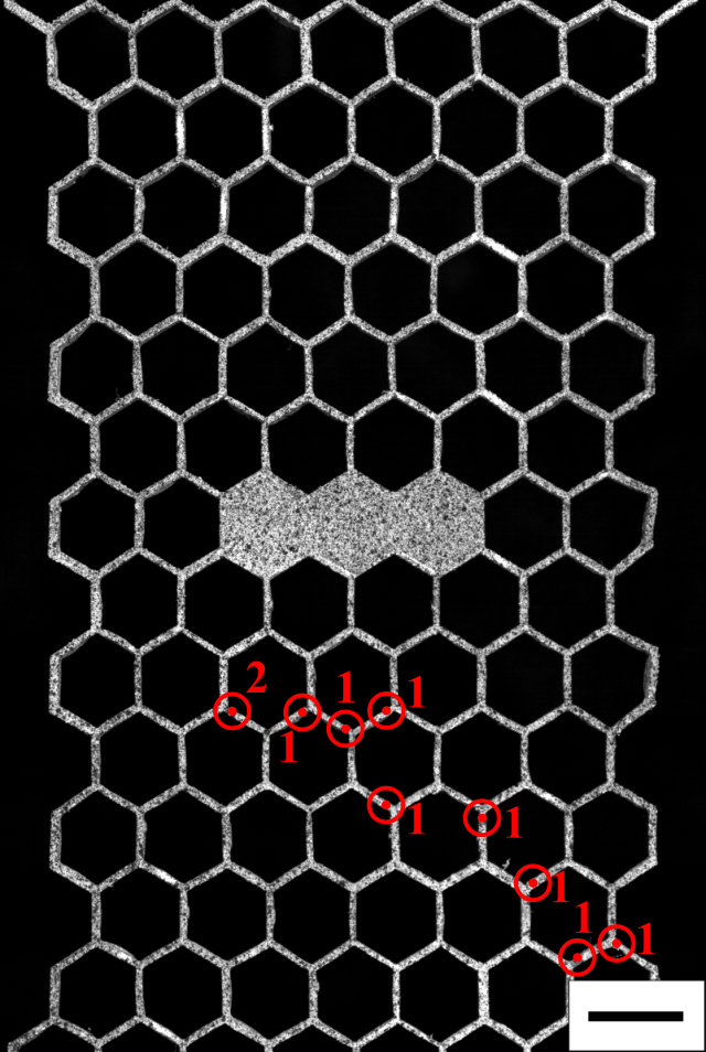 Figure 16