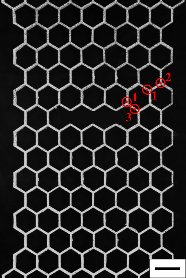 Figure 17