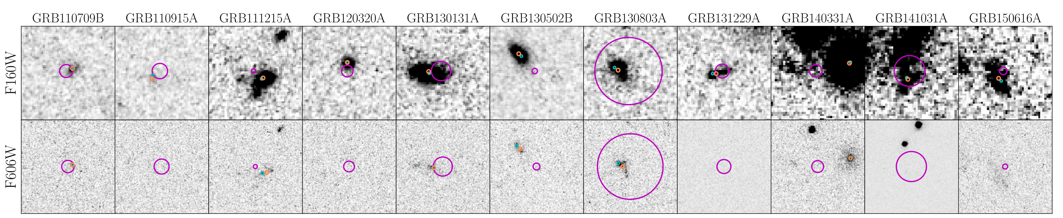 Figure 29