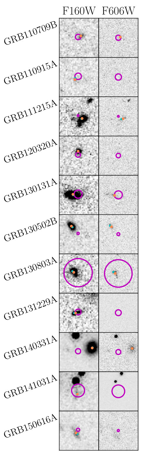 Figure 30