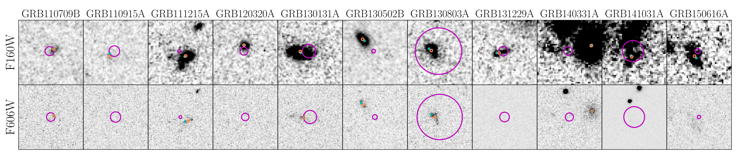 Figure 31
