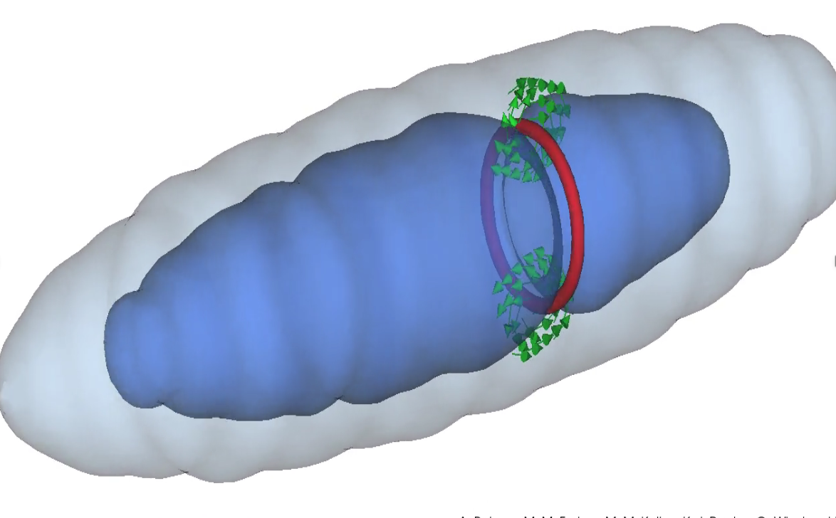 Figure 18