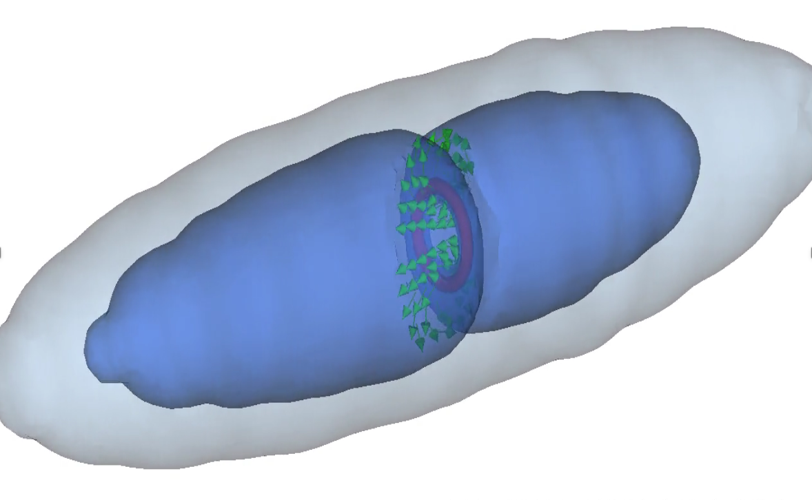 Figure 19