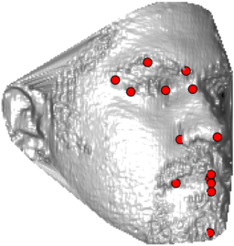 Figure 20