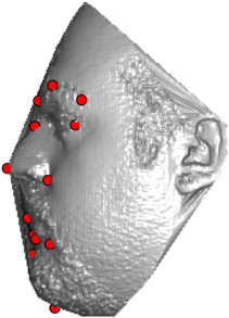Figure 21