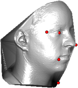 Figure 32