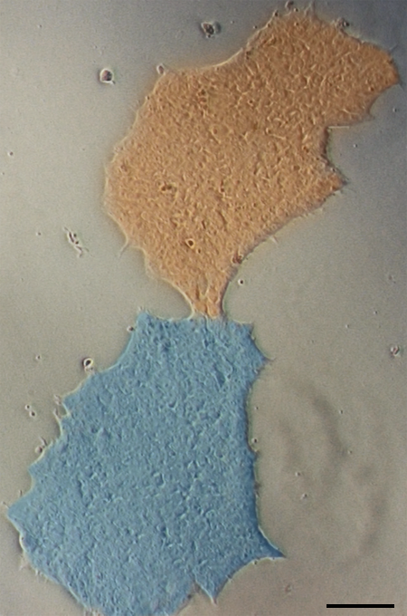 Figure 16