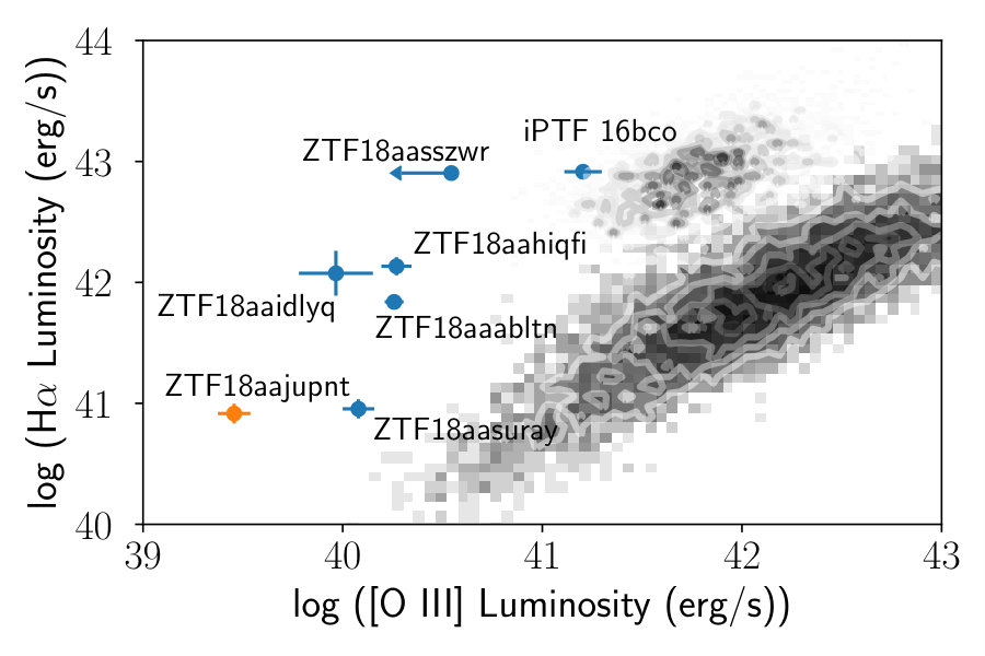 Figure 31