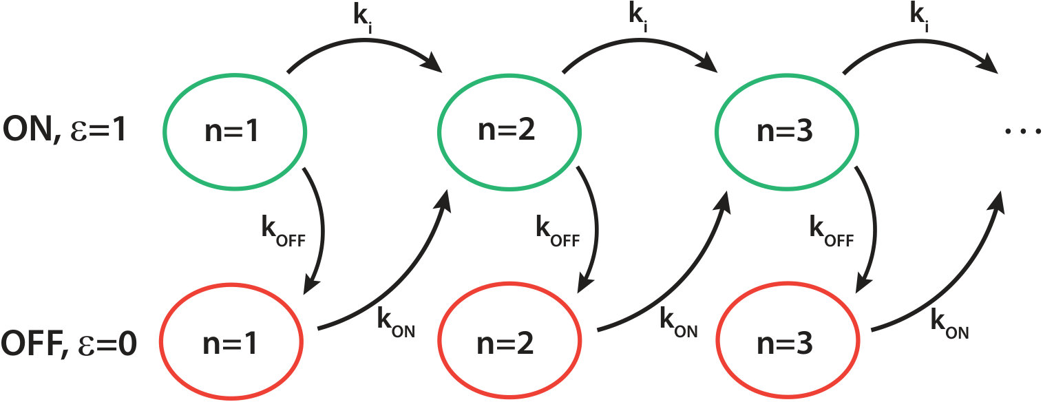 Figure 31