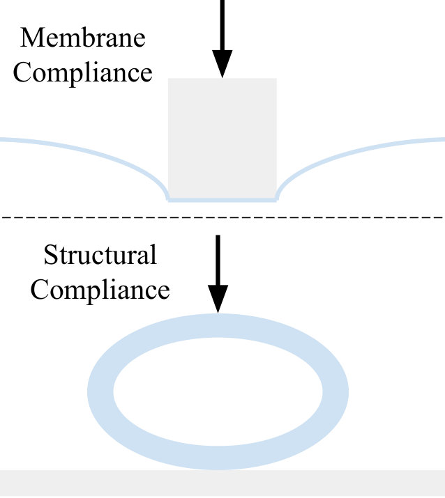 Figure 31