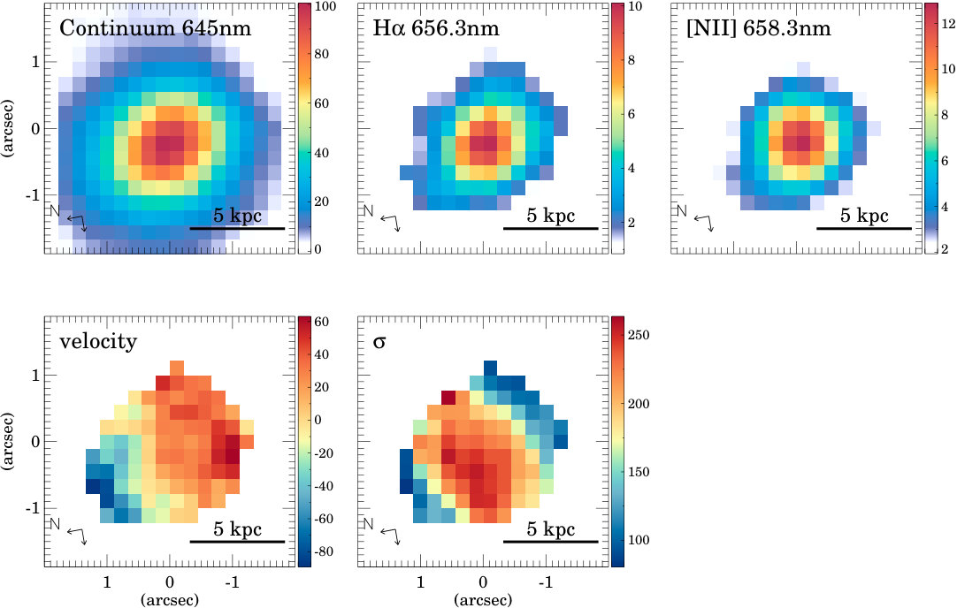 Figure 24