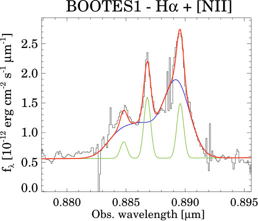 Figure 31