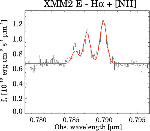 Figure 39