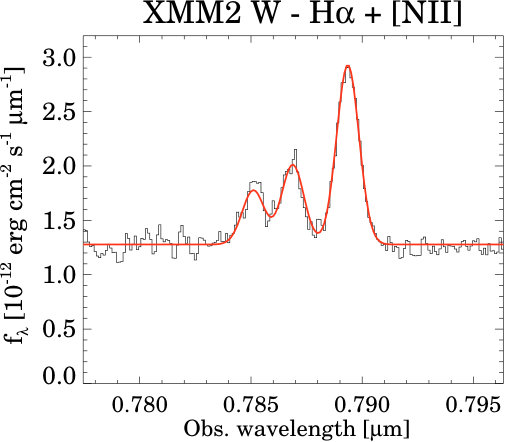 Figure 40