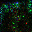 Figure 25
