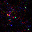 Figure 33
