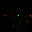 Figure 37