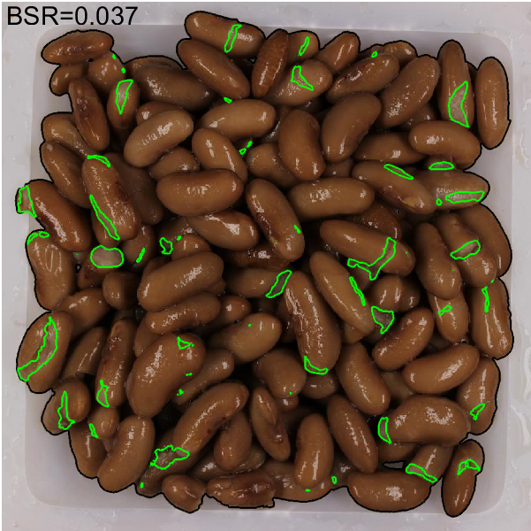 Figure 11