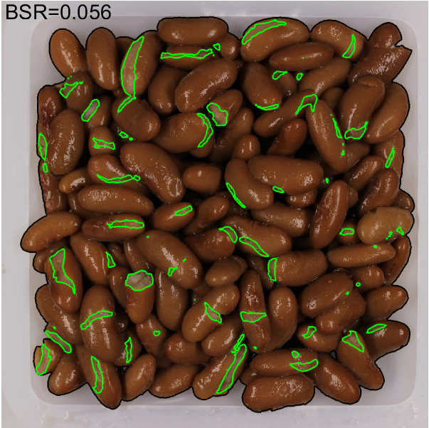 Figure 12