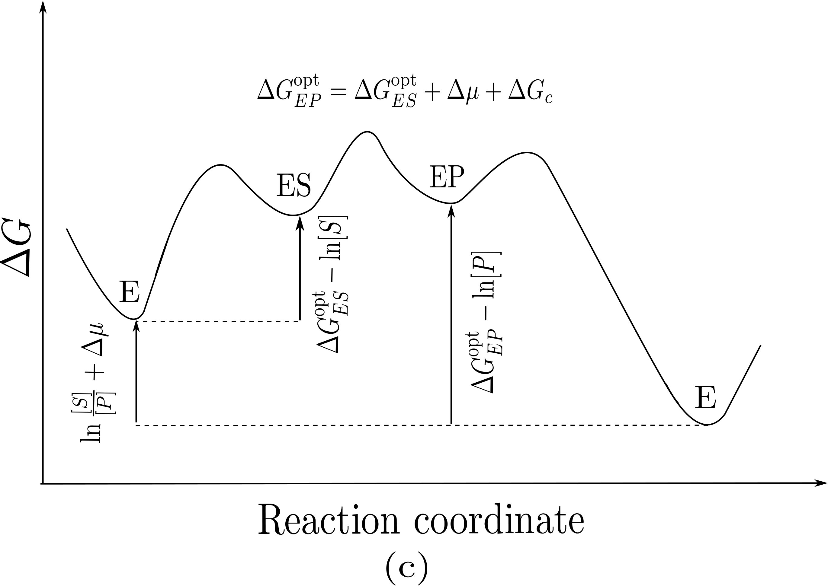 Figure 36
