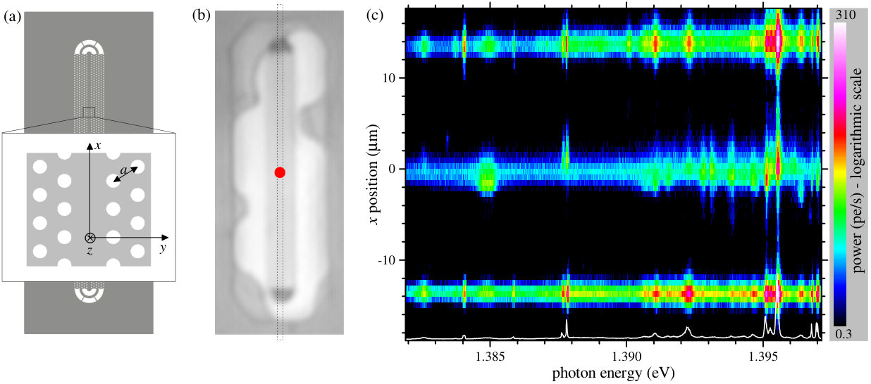 Figure 19
