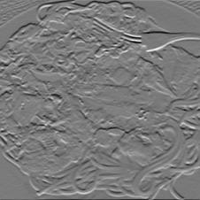 Figure 30
