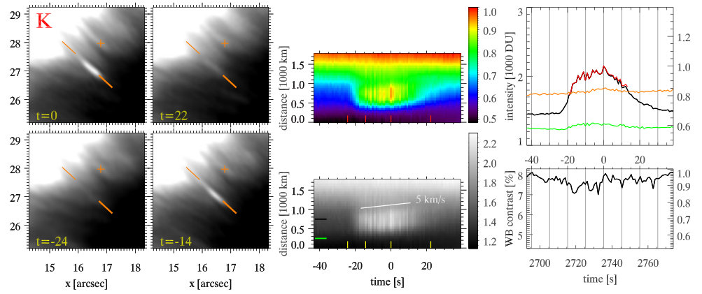Figure 19