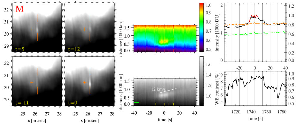 Figure 21